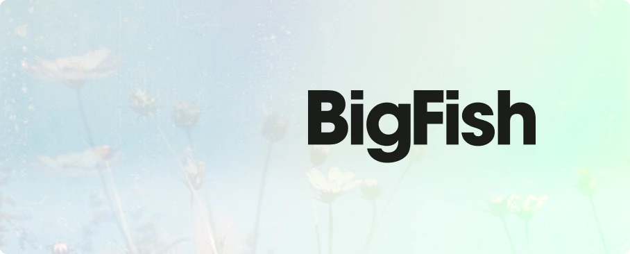 Big Fish Collective